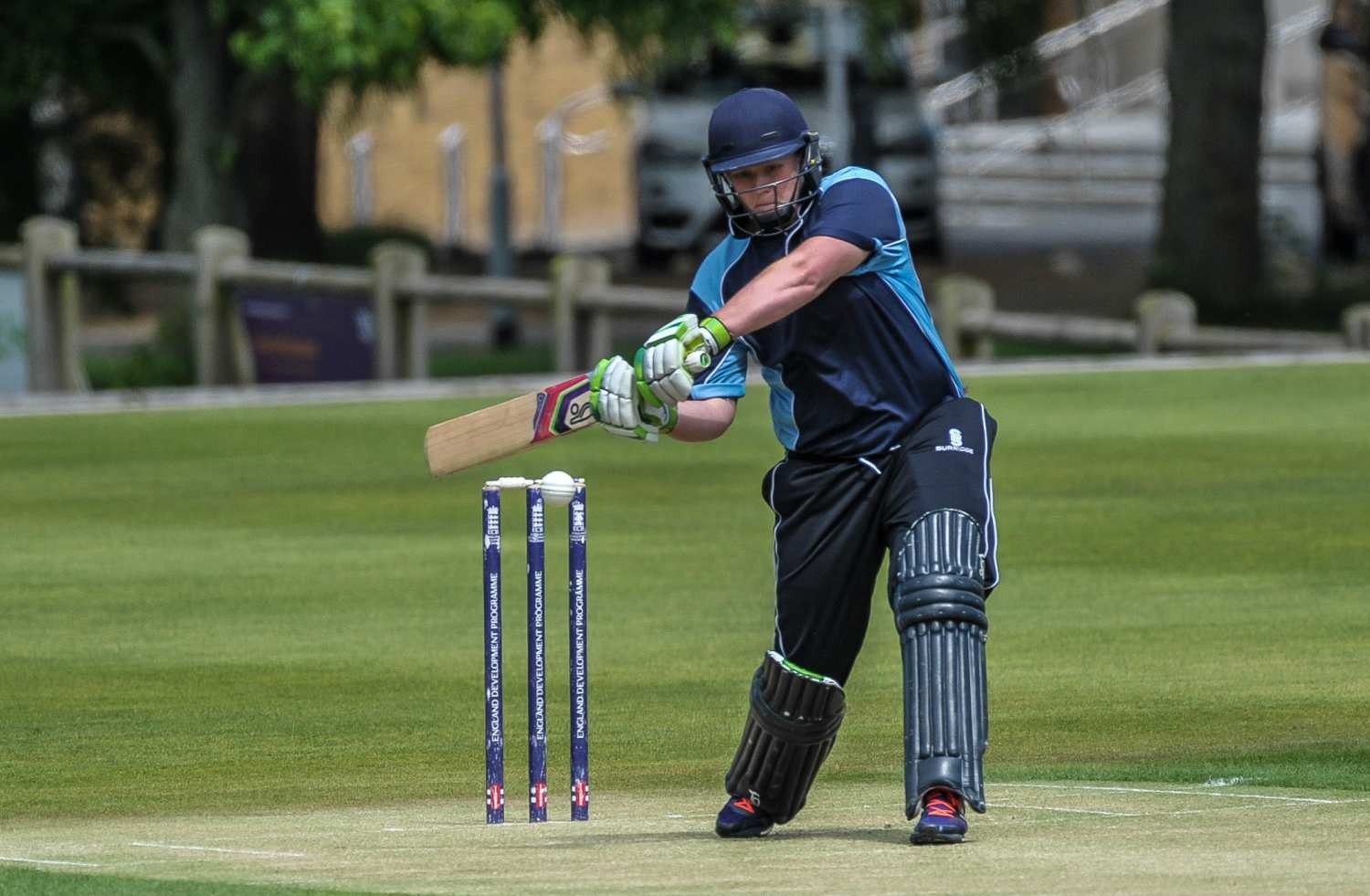 EWA / EWDP Week 2016