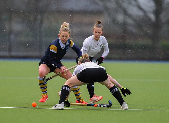 Horsham 1's vs Barnes