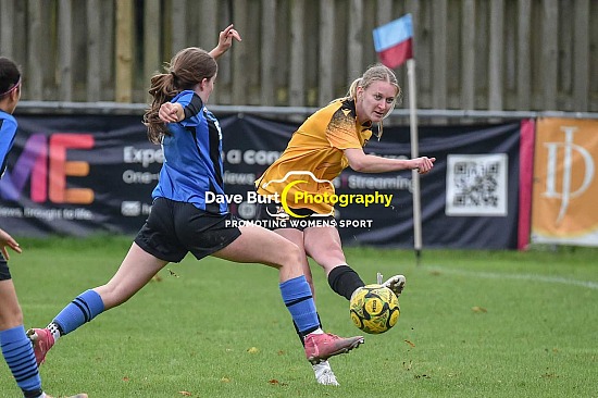Three Bridges vs Saltdean Development