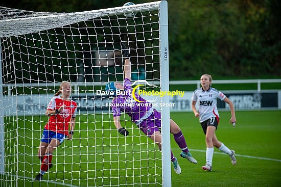 Fulham vs Dorking Wanderers