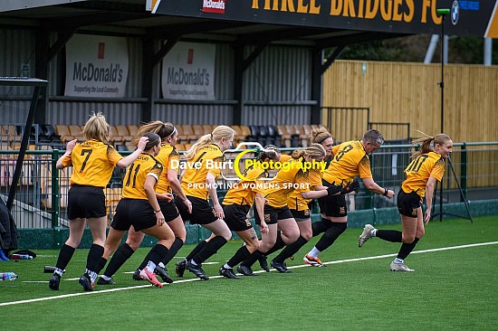 Three Bridges Fc vs Soccer Elite