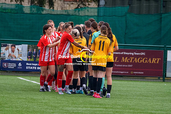 Steyning Town vs Three Bridges - Cup