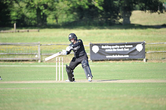 Cricket